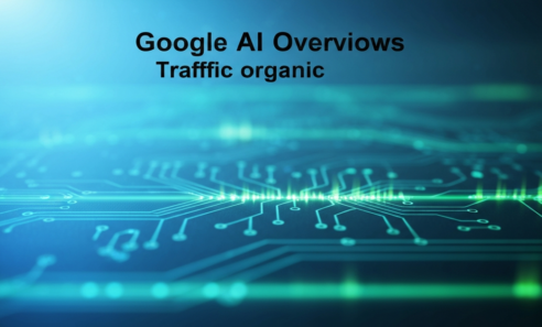 google-ai-overviews-trafic-organic-2025